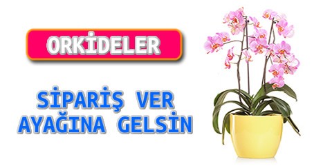 keşan orkideler